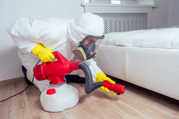 Professional Pest Control in Sand Point, AK
