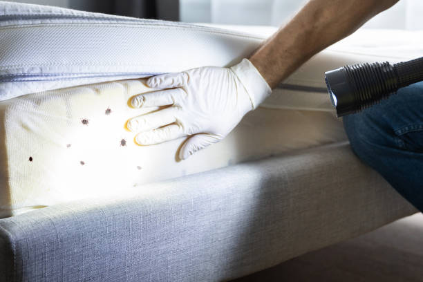 Best Best Pest Control Companies  in Sand Point, AK