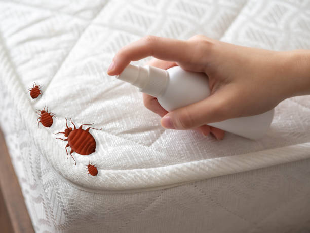 Best Exterminator Services  in Sand Point, AK