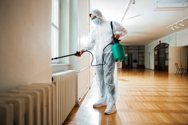 Best Rat Extermination Near Me  in Sand Point, AK