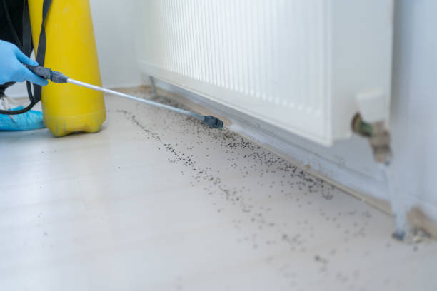 Best Wildlife Control Services  in Sand Point, AK
